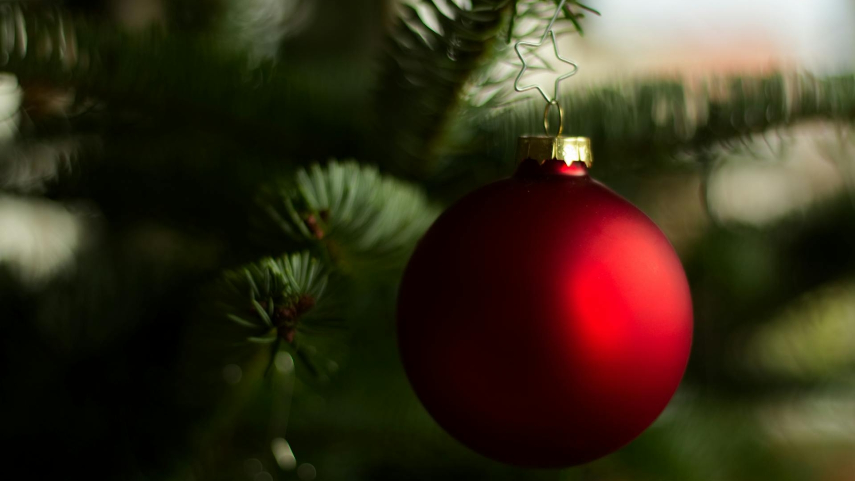 pexels-elias-tigiser-411757-1720669